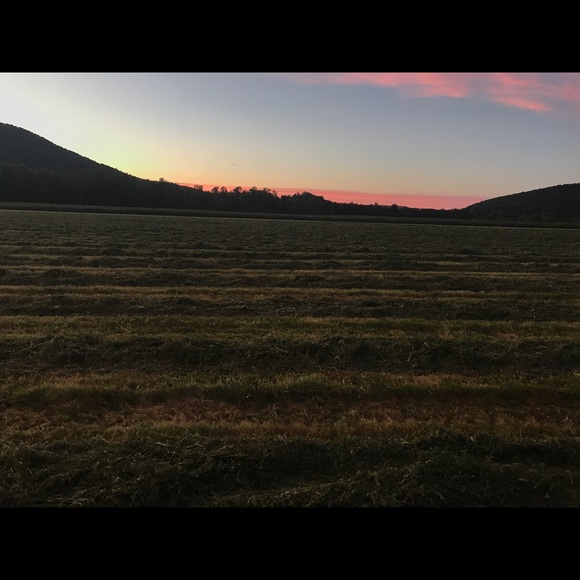 amandalynne1054
